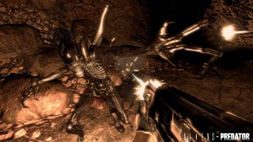 Immagine -10 del gioco Aliens vs Predator per Xbox 360